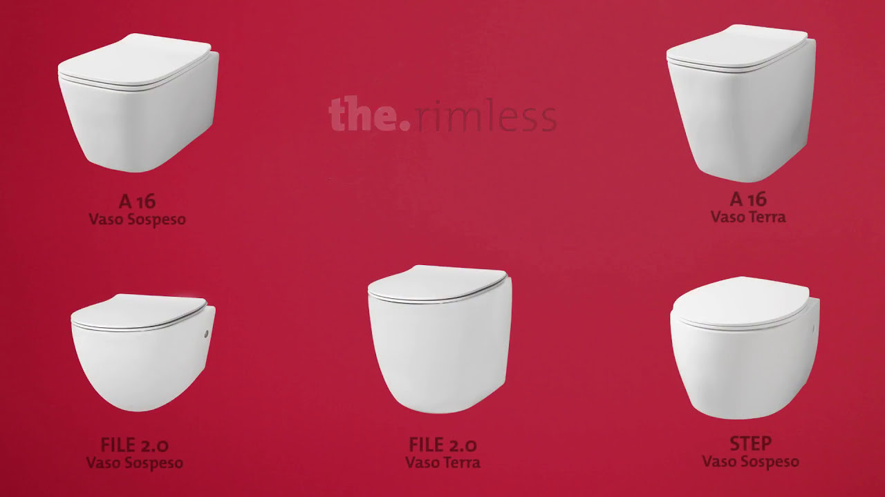 FLV003 FILE 2.0 back to wall close-coupled Wc